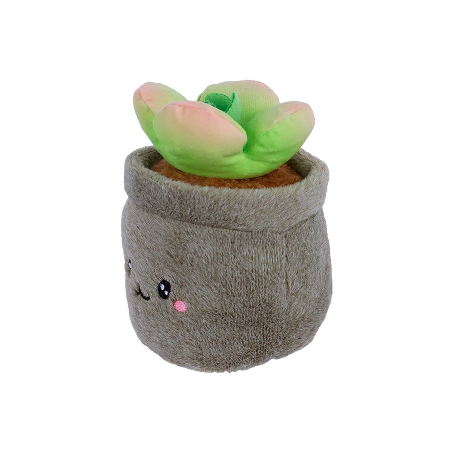 Peluche suculenta