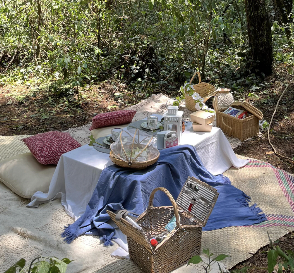 Picnic Love