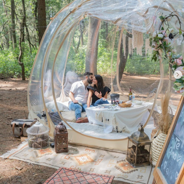 Bubble Picnic