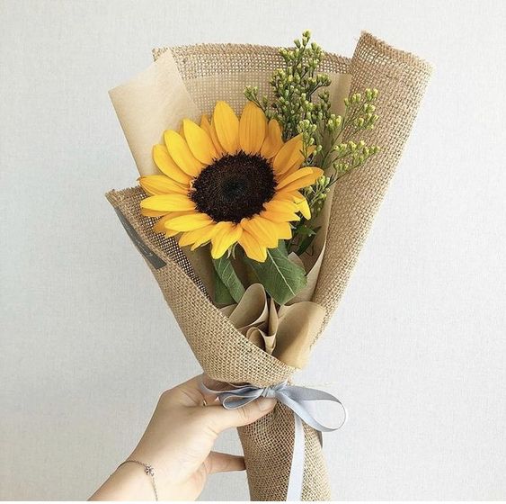 Girasol