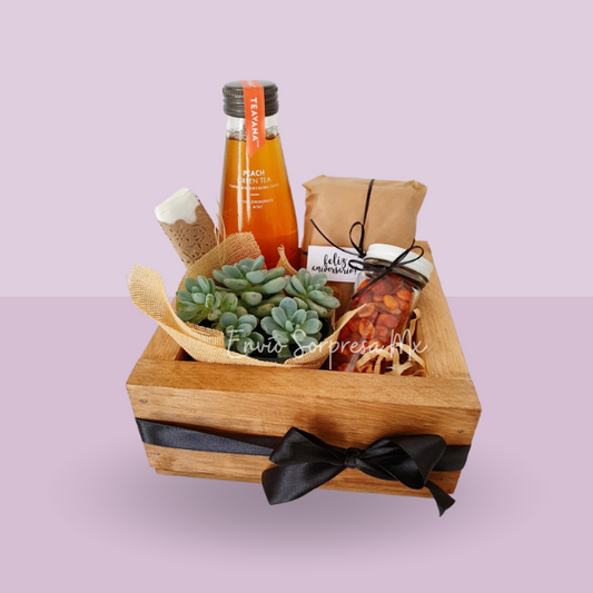 Mini Box Suculenta